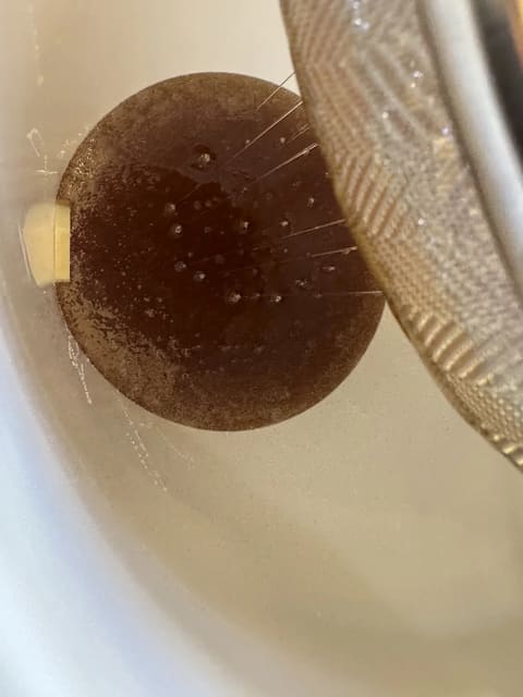 Honey running through a fine sieve into a white bucket fitted with a honey gate.