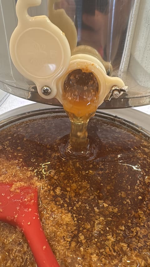 Honey pouring from the extractor's honey gate into a strainer full of wax cappings.