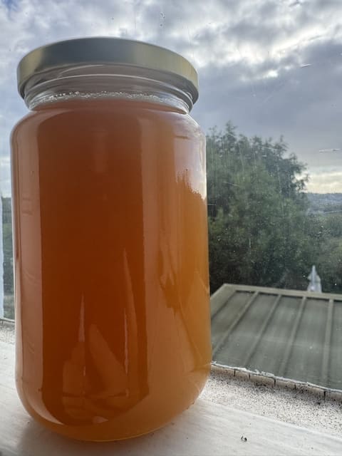 A jar of clear, deep amber runny honey on a windowsill, lit from behind, with trees and grey clouds outside.